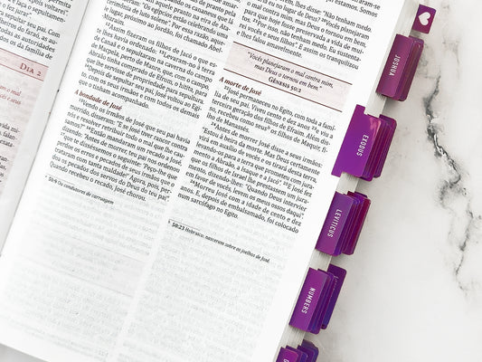 Mauve holographic bible tabs on open bible page for women aesthetic style