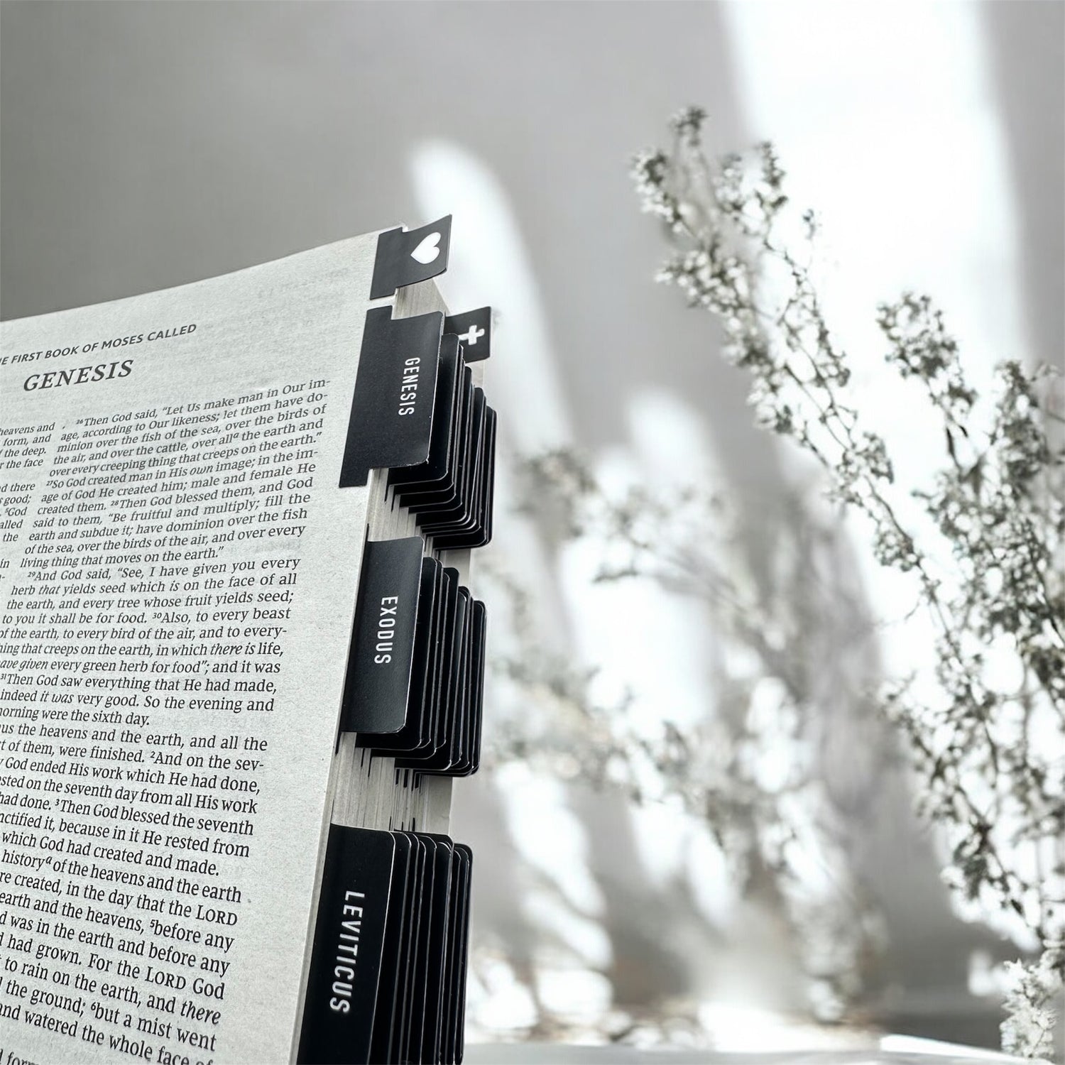 Close-up view of minimalist black bible indexing tabs on an open Bible, showing Genesis, Exodus, and Leviticus, with a soft, natural background.