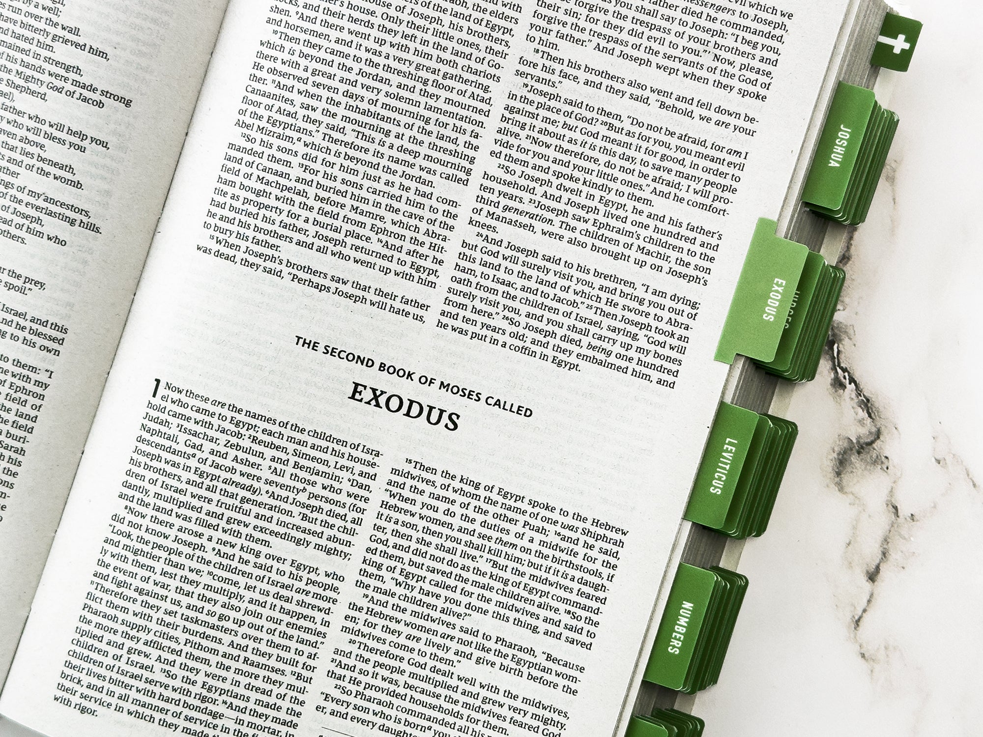 Glossy olive green bible tabs with earthy minimalist aesthetic for bible journaling and study